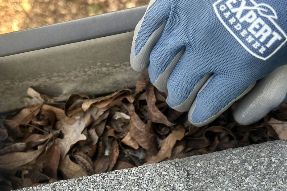 Gutter Cleaning Midlothian